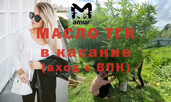 spice Богданович