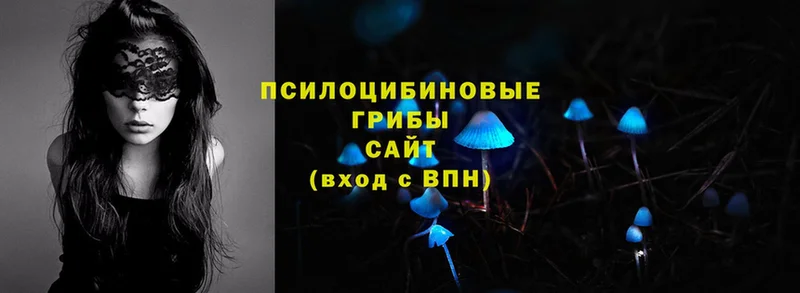 ОМГ ОМГ tor  Каневская  Галлюциногенные грибы MAGIC MUSHROOMS 